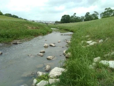 Halls Bayou Watershed Halls Bayou Watershed
