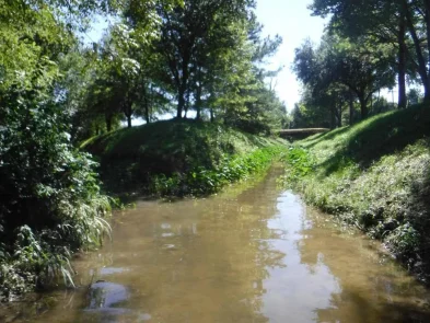 Halls Bayou Watershed Halls Bayou Watershed