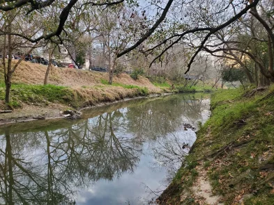 Halls Bayou Watershed Halls Bayou Watershed