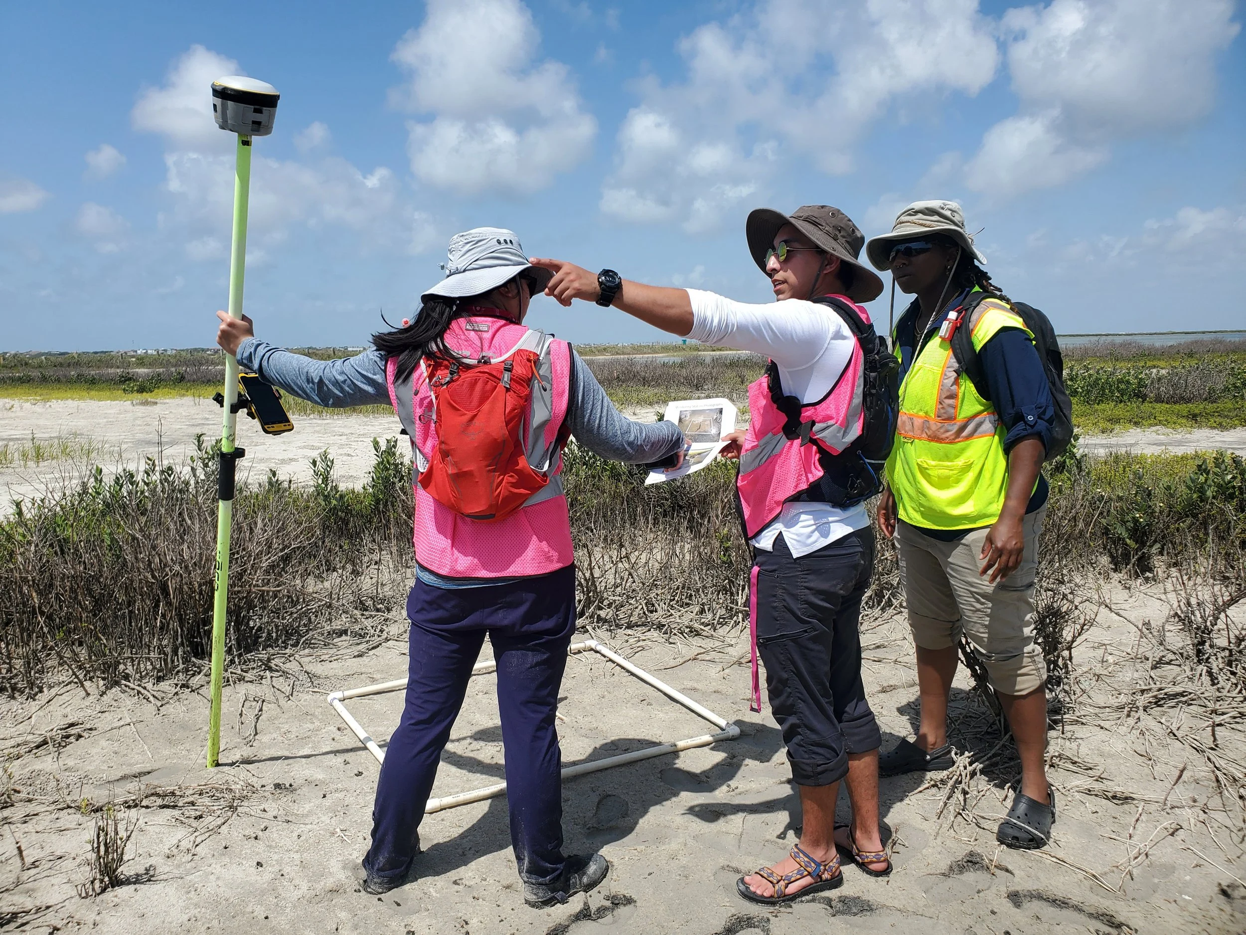 Hollaway coastal planning project environmental communications